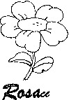 Rosacc