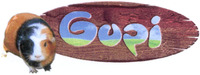 Gupi
