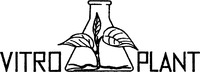 VITRO PLANT