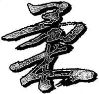 YAWARA.