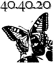 40.40.20