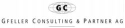 G C GFELLER CONSULTING & PARTNER AG