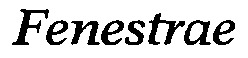 Fenestrae