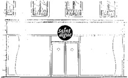 Saint algue