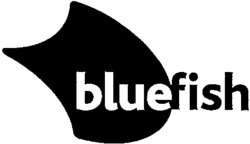 bluefish
