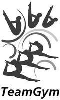 TeamGym
