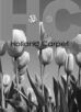Holland Carpet