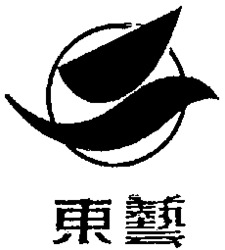DONG YI