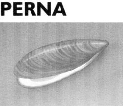 PERNA