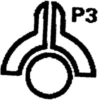 P3