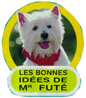 LES BONNES IDÉES DE Mr. FUTÉ