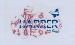 HARRER Meine Eisdiele