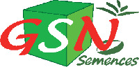 GSN semences