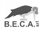 B.E.C.A. srl