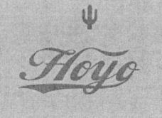 Hoyo