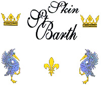 Skin St Barth