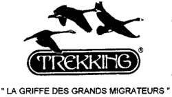TREKKING 