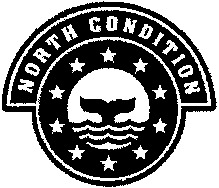 NORTH CONDITION