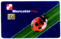 Mercator Pika