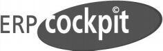 ERP cockpit