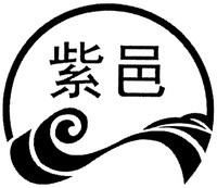 ZI YI
