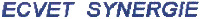 ECVET SYNERGIE