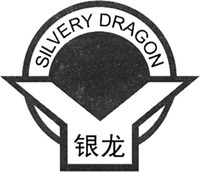 SILVERY DRAGON