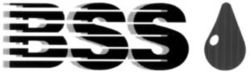 BSS