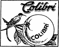 Colibri