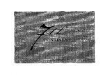 7th CONTINENT