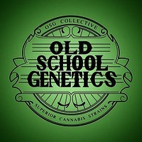 OSG COLLECTIVE SUPERIOR CANNABIS STRAINS OLD SCHOOL GENETICS