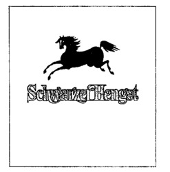 Schwarzer Hengst