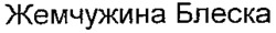Zhemchuzhina Bleska.