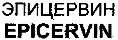EPICERVIN