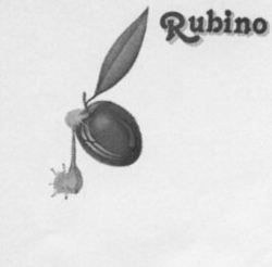Rubino