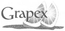 Grapex