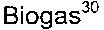 Biogas30