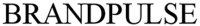 BRANDPULSE