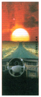 SUNNYCAR