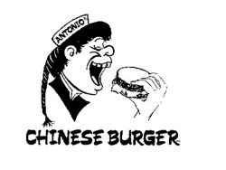 CHINESE BURGER