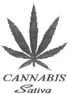 CANNABIS Sativa