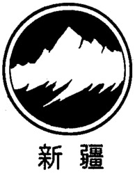  Xin Jiang 
