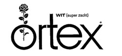 ortex