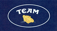 TEAM