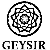 GEYSIR