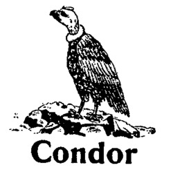 Condor