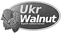 Ukr Walnut Export walnut kernel