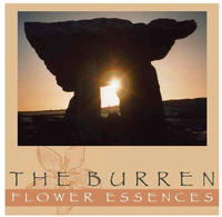 THE BURREN FLOWER ESSENCES