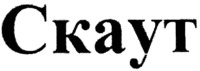 Skaut