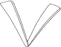 V